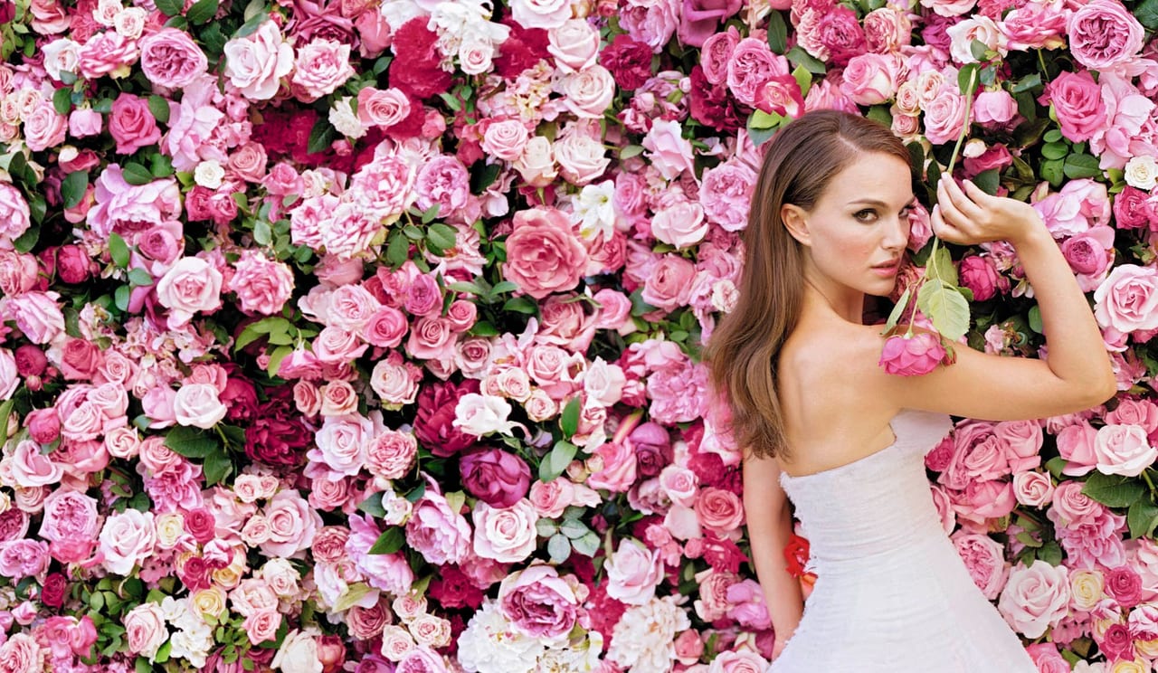 LA ROSE : REINE DES FLEURS ET DES PRODUITS DE BEAUTÉ LA ROSE : REINE DES FLEURS ET DES PRODUITS DE BEAUTÉ