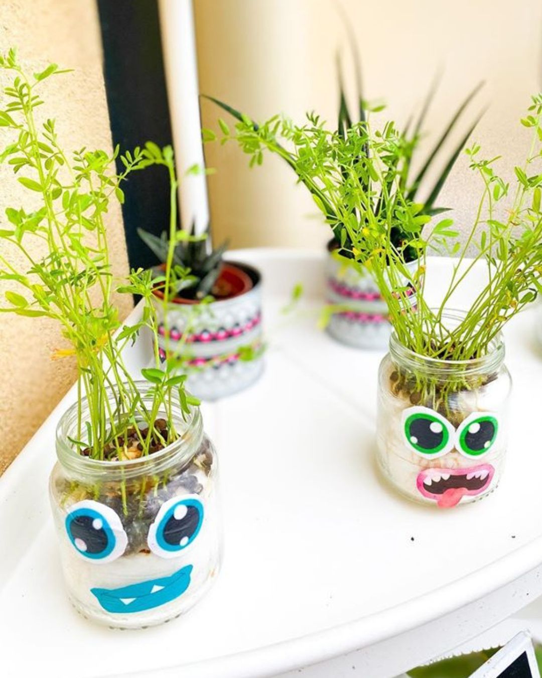 plantes en pot