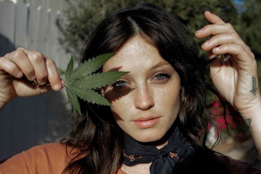 cannabis au maroc